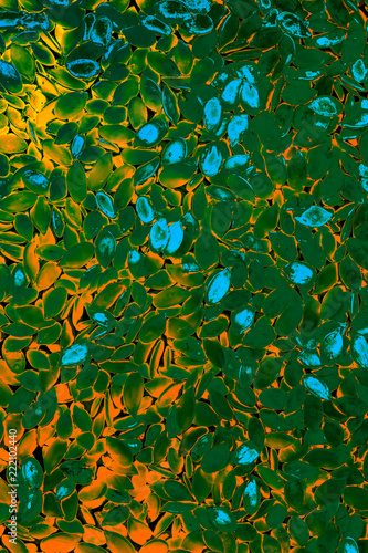 Beautiful abstract background for design.