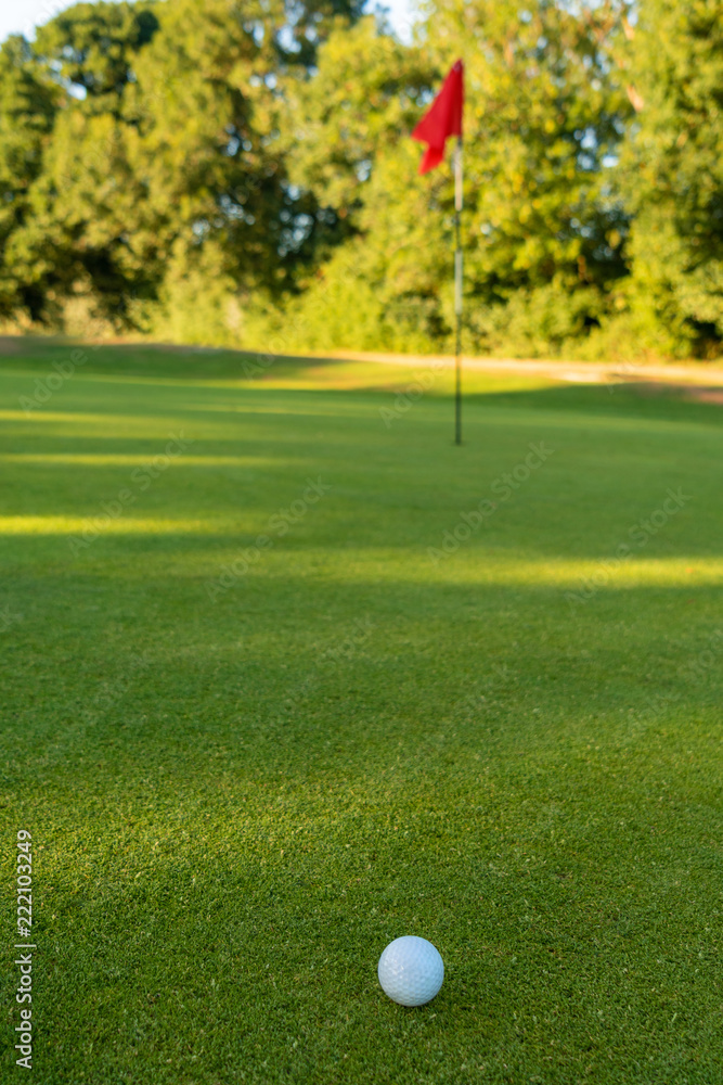 Obraz premium Golf Ball and Flag on the Green of a Golf Course