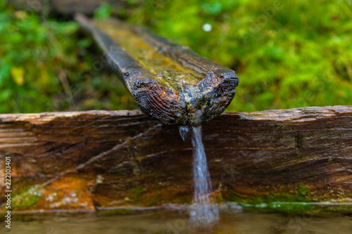 water from a spring