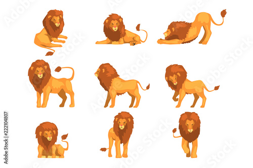 Proud powerful lion character in different actions set of cartoon vector Illustrations on a white background photo