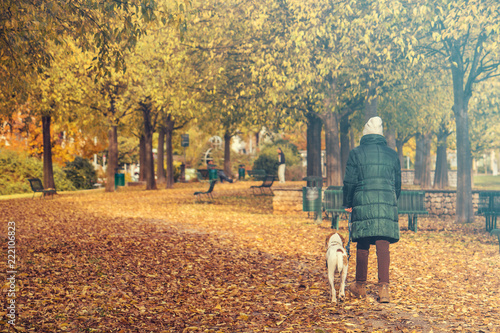 walking with dog in fall season, back view of woman wearing a green coat in an urban park with her pet