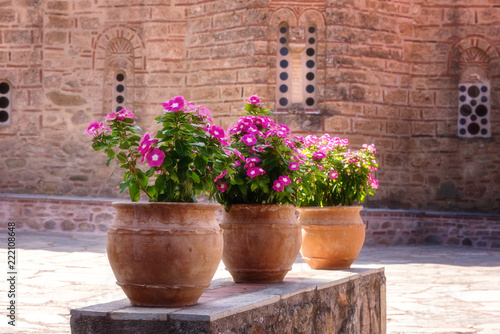 Fototapeta Naklejka Na Ścianę i Meble -  Vase with beautiful pink flowers in the courtyard of monastery Great Meteora in Greece, Thessaly valley