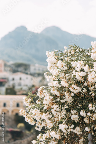 Fototapeta Naklejka Na Ścianę i Meble -  The coast of Positano, Amalfi in Italy. Panorama of the evening city and the streets with shops and cafes. Houses by the sea and the beach. Ancient architecture and temples