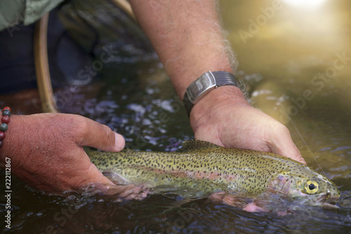 Fototapeta Naklejka Na Ścianę i Meble -  Closeup of rainbow trout