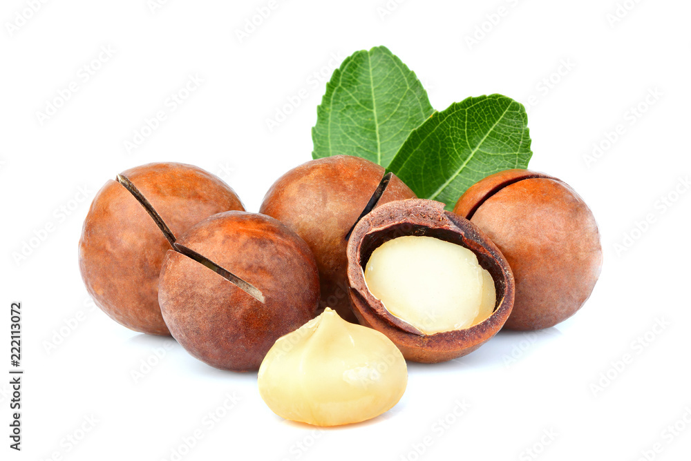 Shelled and unshelled macadamia nuts with leaf. Shelled and unshelled macadamia nuts with leaf.