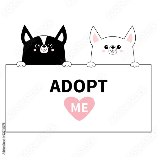 Chihuahua dog head face set hanging on paper board. Adopt me. Hands paw. Heart. Pet adoption. Help homeless animal Cute cartoon puppy character. Funny baby pooch. Flat design. White background