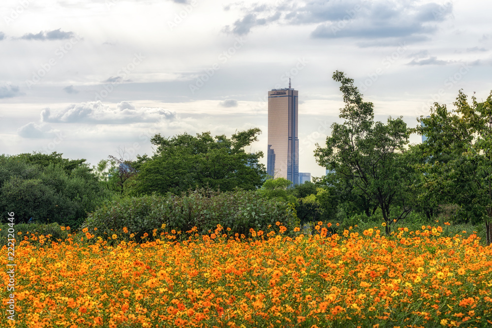 Obraz premium 63 budynek i ichon do parku