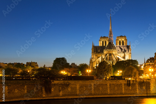 The Notre-Dame cathedral in the blue hour in Paris  France  