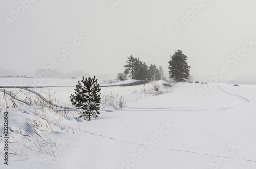 Snow-covered smooth field with path and roads in light fog in wintertime