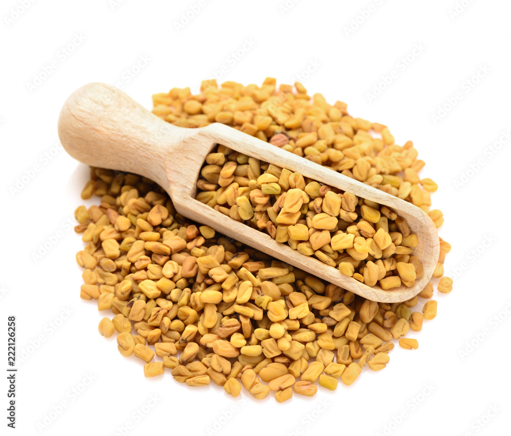 Fenugreek in a scoop for spices Fenugreek in a scoop for spices