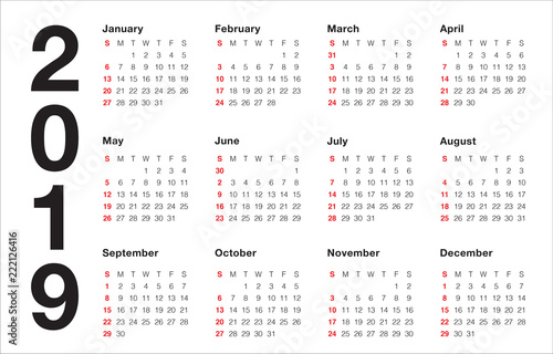 Year 2019 calendar vector design template