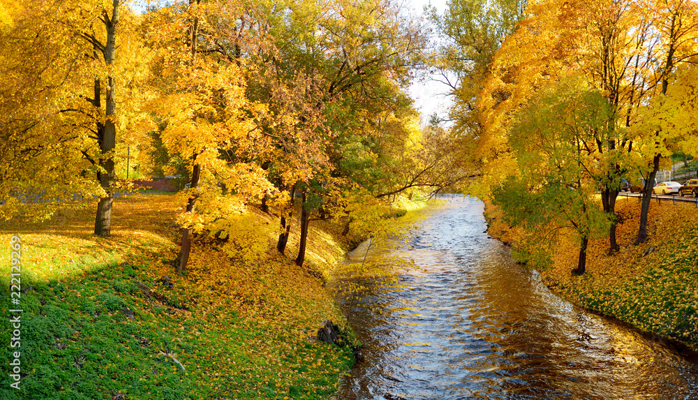 Wunschmotiv: Colorful forest scene in the fall with yellow foliage. Autumn city park scenery in Viln