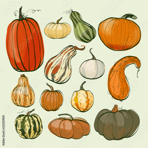 Pumpkins sketch collection
