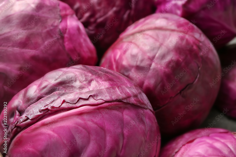 Fototapeta premium Ripe red cabbage, closeup