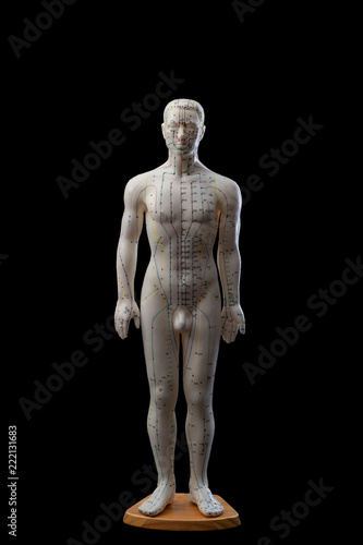 Alternative medicine and east asian healing methods concept with front view of full size acupuncture dummy model isolated on black background with clip path cut out