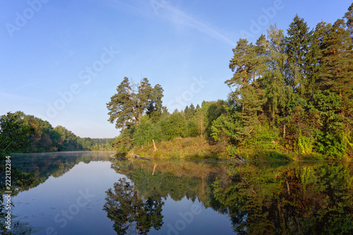 Sunny morning in the forest on the lake