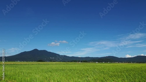 筑波山収穫期