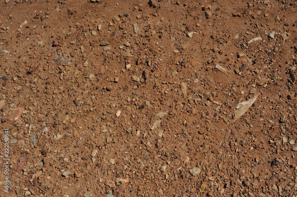 Traces of wheeled vehicles used in agriculture on a dirt road Traces of wheeled vehicles used in agriculture on a dirt road