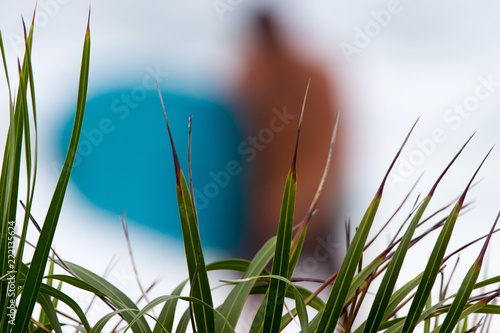 surfer defocused behind a plant