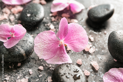 Spa stones with hydrangea flowers and sea salt on grey background  closeup