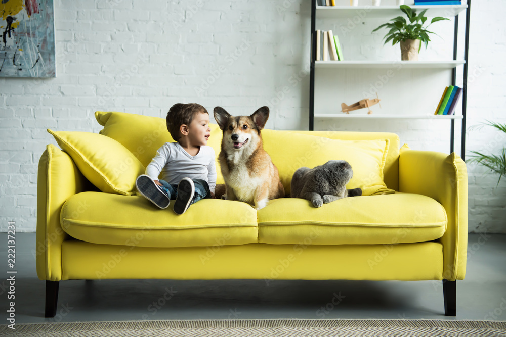 happy child sitting on yellow sofa with pets