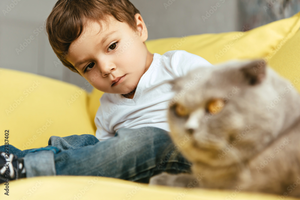selective focus of little boy looking at cat selective focus of little boy looking at cat