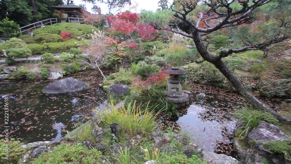 Autumn leaves in Japan - red momiji leaves (maple tree) in a Japanese tea garden of Yoshikien, Nara, Japan. Autumn leaves in Japan - red momiji leaves (maple tree) in a Japanese tea garden of Yoshikien, Nara, Japan.