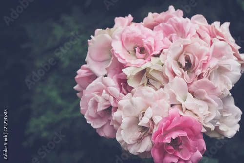 bouquet of delicate pink roses closeup, in garden