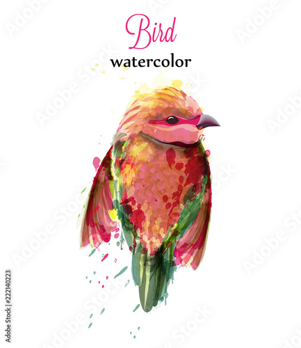 Watercolor bird Vector. Colorful tropic painted style