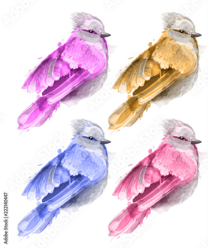 Colorful watercolor small bird Vector. beautiful illustration painted styles