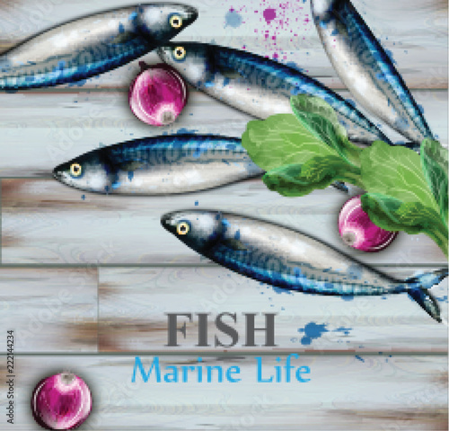 Small fish watercolor Vector. Painted style illustration backgrounds