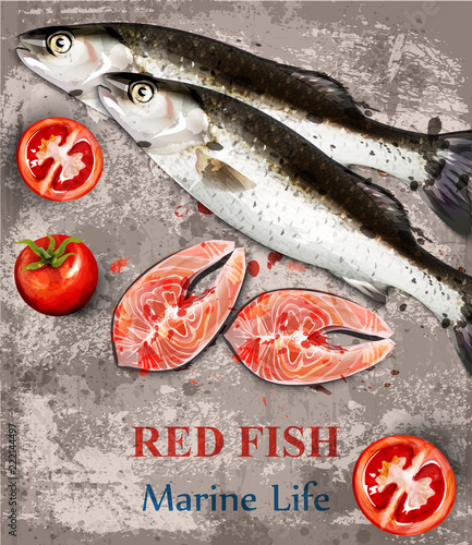 Salmon fish watercolor Vector. Fish steaks on vintage backgrounds. Menu templ...