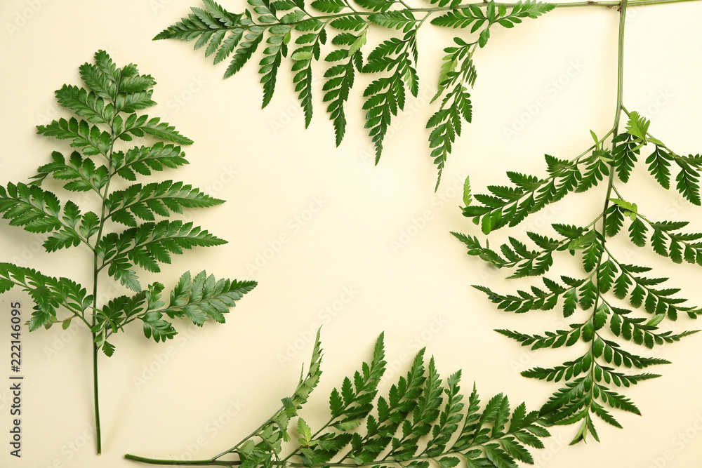 Fresh tropical leaves on light background Fresh tropical leaves on light background