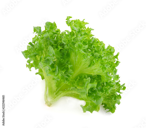 green frillice iceberg lettuce isolated on white background photo