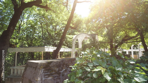 bridge in the park