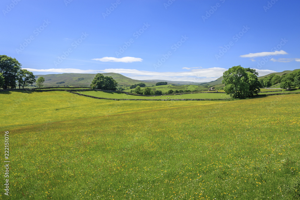 Wensleydale countryside North Yorkshire England