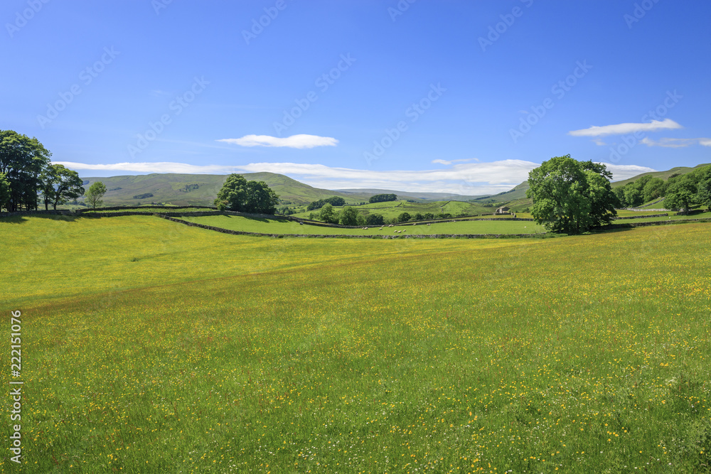 Wensleydale countryside North Yorkshire England Wensleydale countryside North Yorkshire England