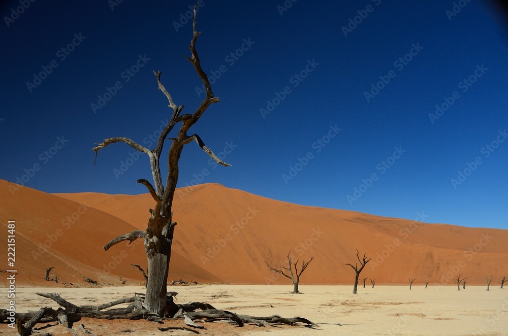 Deadvlei in Sossusvlei, Namibia, desert Deadvlei in Sossusvlei, Namibia, desert
