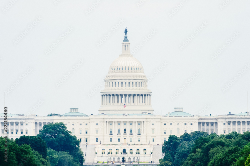 The US Capitol in Washington DC Landscape