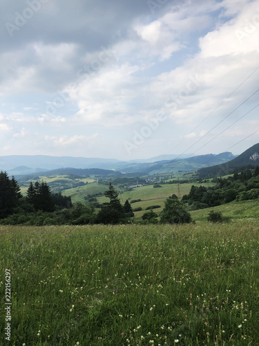 Summer forrest  meadows and fields countryside landscape in Slovakia.