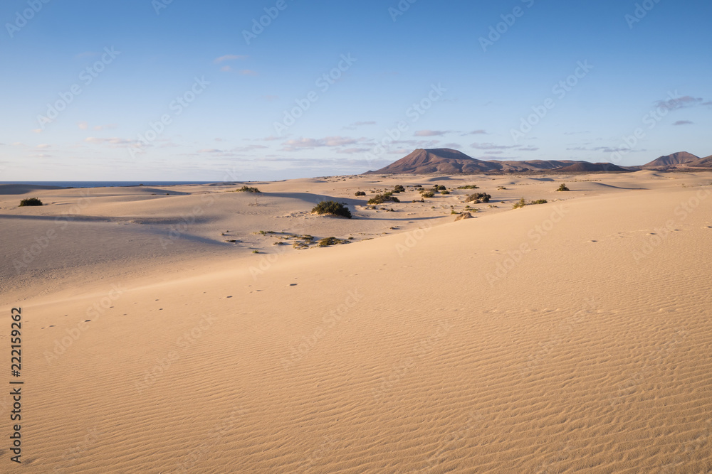 Parque Natural de Corralejo Sand Dunes Corralejo La Oliva Fuerteventura Canary Islands Spain Parque Natural de Corralejo Sand Dunes Corralejo La Oliva Fuerteventura Canary Islands Spain