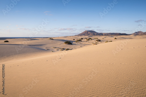 Parque Natural de Corralejo Sand Dunes Corralejo La Oliva Fuerteventura Canary Islands Spain