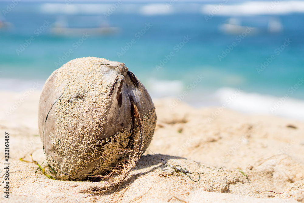 Old coconut in a beach on ocean background Old coconut in a beach on ocean background