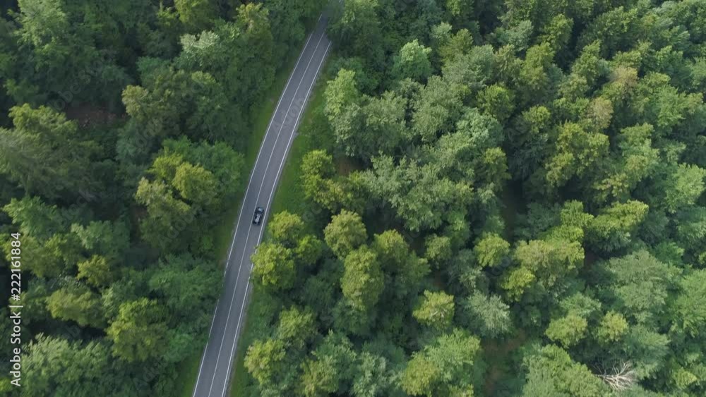 AERIAL, TOP DOWN: Dark colored car driving down an asphalt road crossing the vast forest on a sunny summer day. People on relaxing drive through the idyllic woods in picturesque Slovenian countryside.
