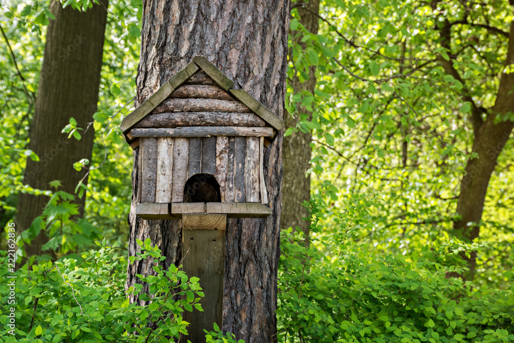 A wooden house for birds and squirrels in a thicket of green forest. spring time. close-up. A wooden house for birds and squirrels in a thicket of green forest. spring time. close-up.