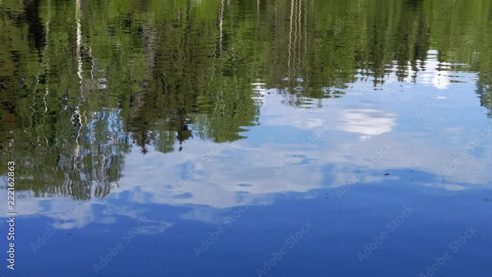 Green crowns of the trees reflected in the water surface of the lake. Green crowns of the trees reflected in the water surface of the lake.
