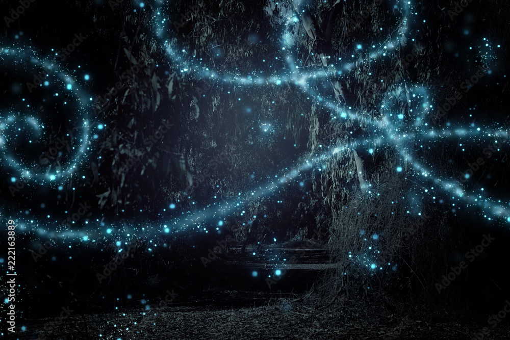 Abstract and magical image of Firefly flying in the night forest. Fairy tale concept. Abstract and magical image of Firefly flying in the night forest. Fairy tale concept.