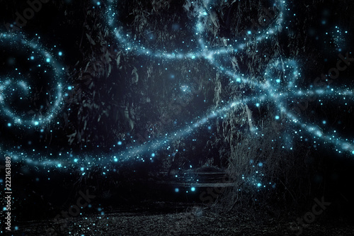 Abstrakcyjny i magiczny obraz Firefly lecącego w nocnym lesie. Koncepcja bajki.