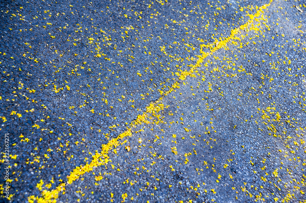 Obraz premium abstract background