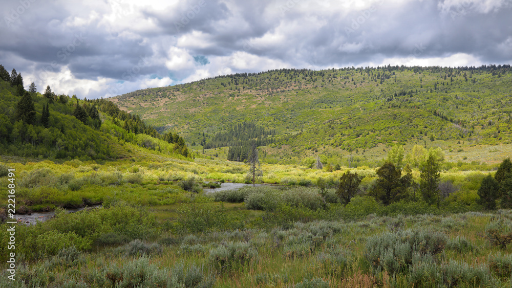 Uinta Wasatch national forest landscape in Utah